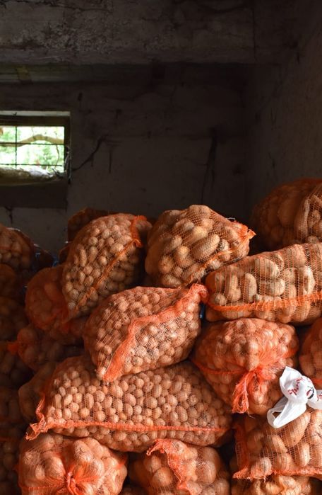 Cartofi pentru animale