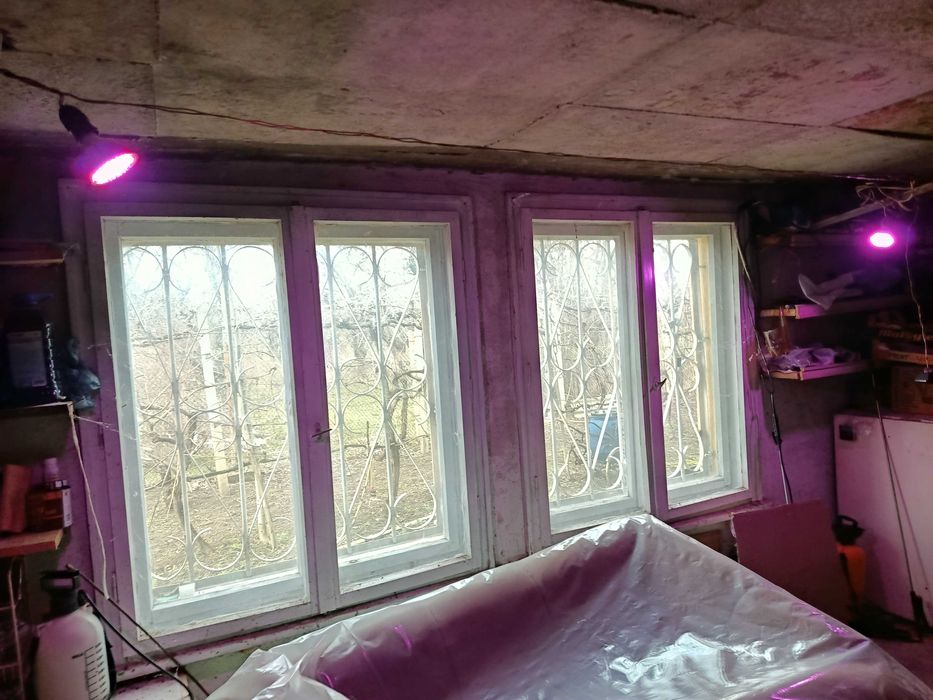 Лед лампа с 3 цвята-стимулира разтежа на  разстенията