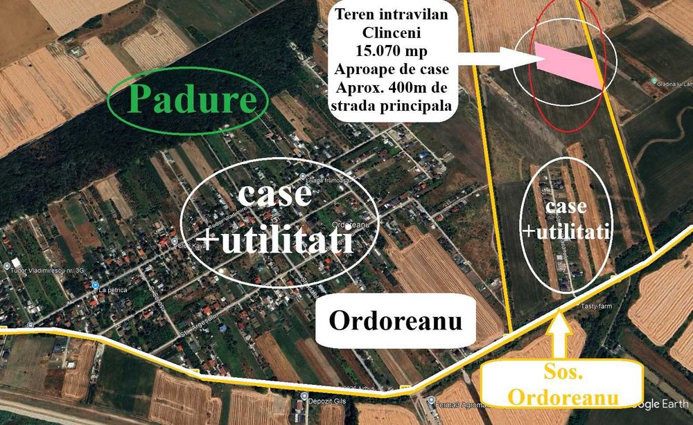 Proprietar - Teren intravilan Clinceni - 15.070 mp - 14 euro/mp