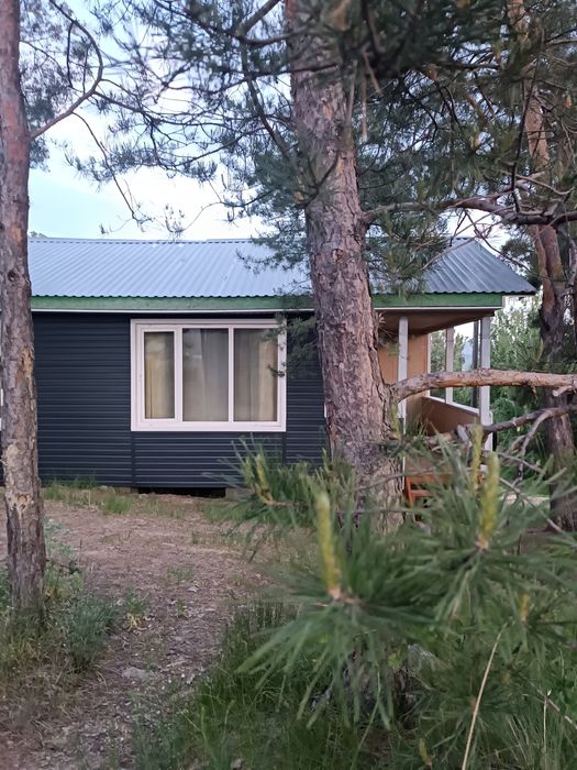 Сдам дома на бухтарме