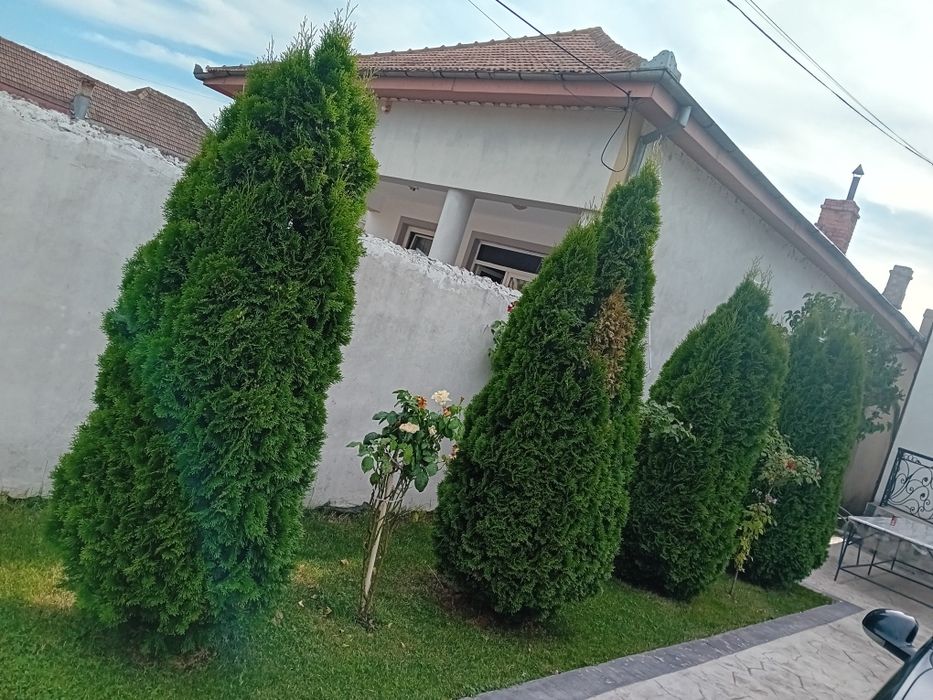 Amenajări Grădinii Craiova