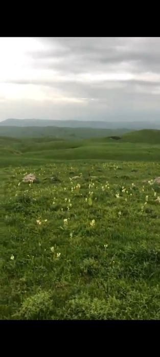 Продается земля .Жайляу 250га