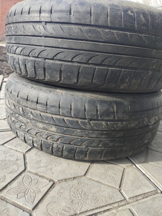 205 60 р15 летние