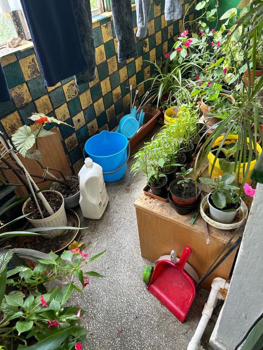 Vand apartament 3 camere