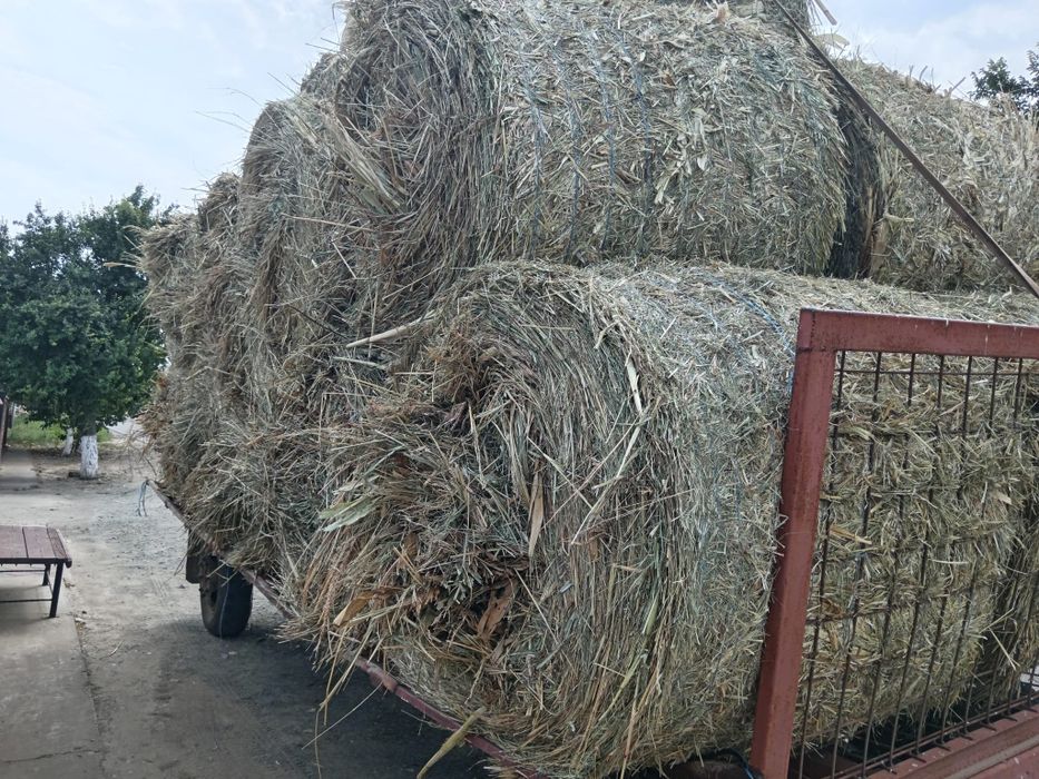 Vând trailer de baloți!