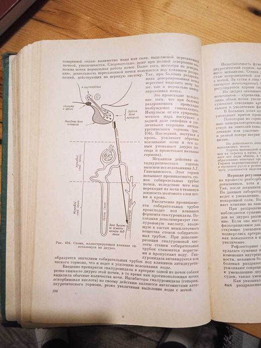 Справочник терапевта