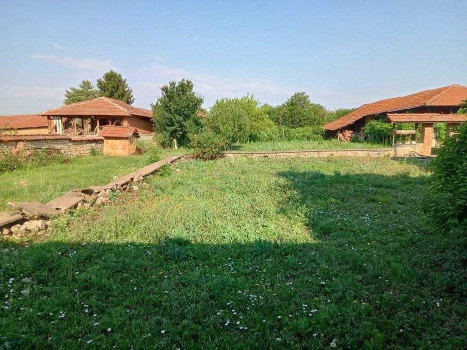 Косене  Цени по договаряне след оглед Бързо и качествено 0877591844
