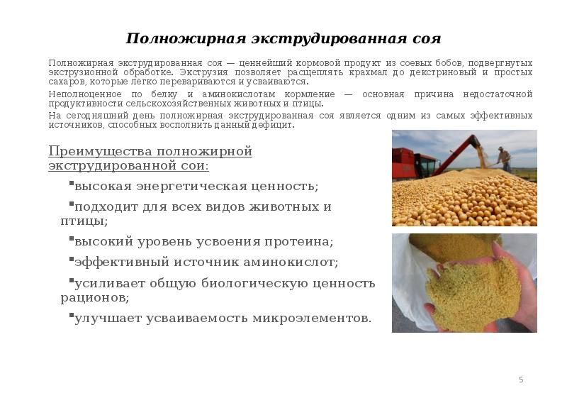 Соя полножирная.