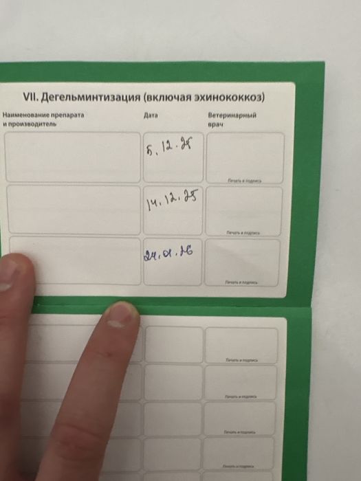 Продажа немецкой овчарки