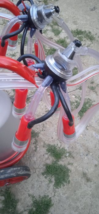 Доильные аппараты Турция