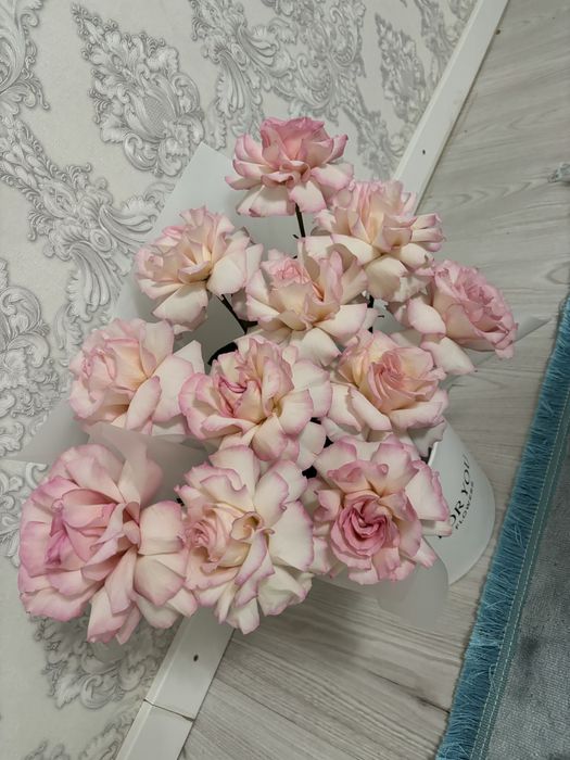 Гүл сатылады 04.02 күні алынған