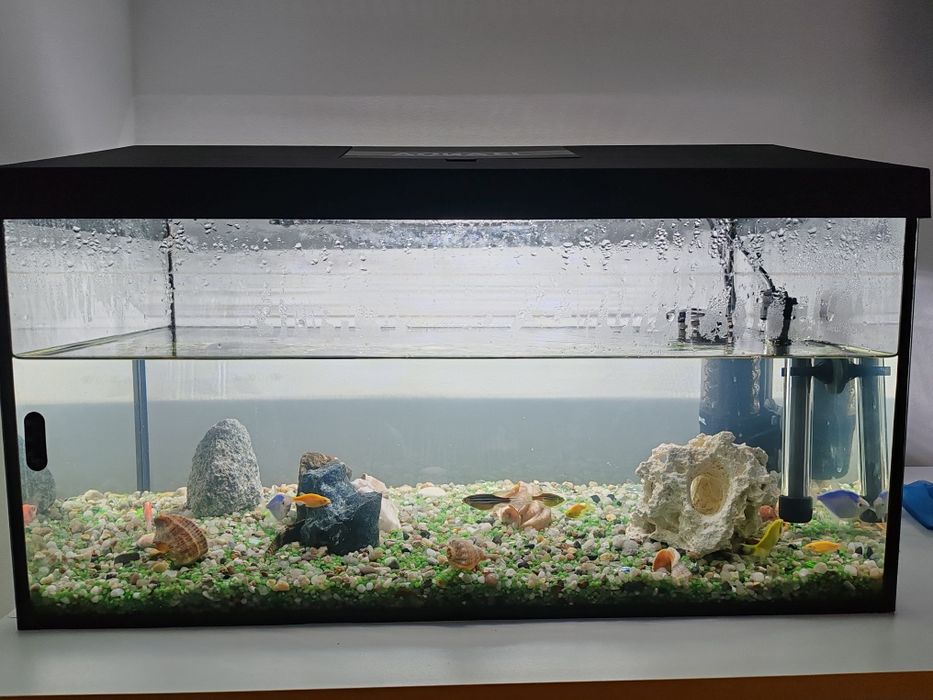 Acvariu 60l, Aquael