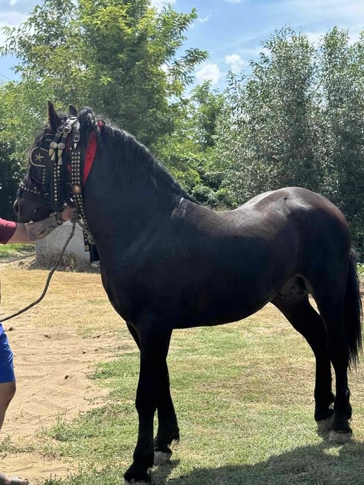 Vand sau schimb cu atv de 500 cc sau tractor