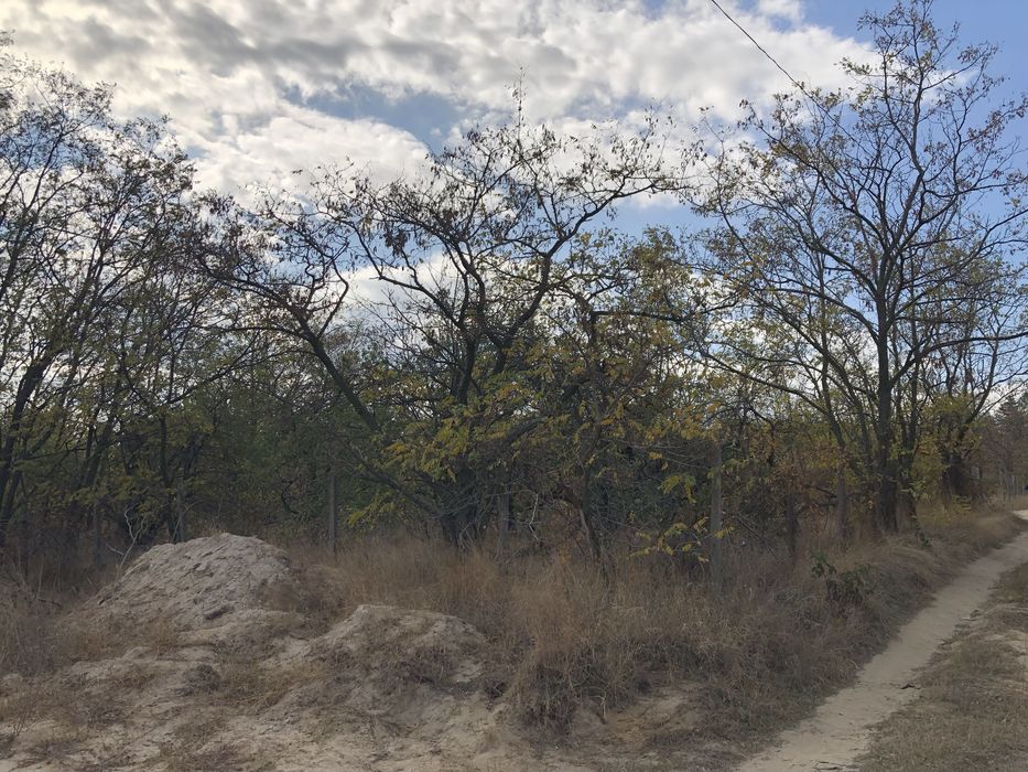 Продава се Парцел в Русе, Веждата - 1175 кв.м за 69 €/кв.м - Снимка #7