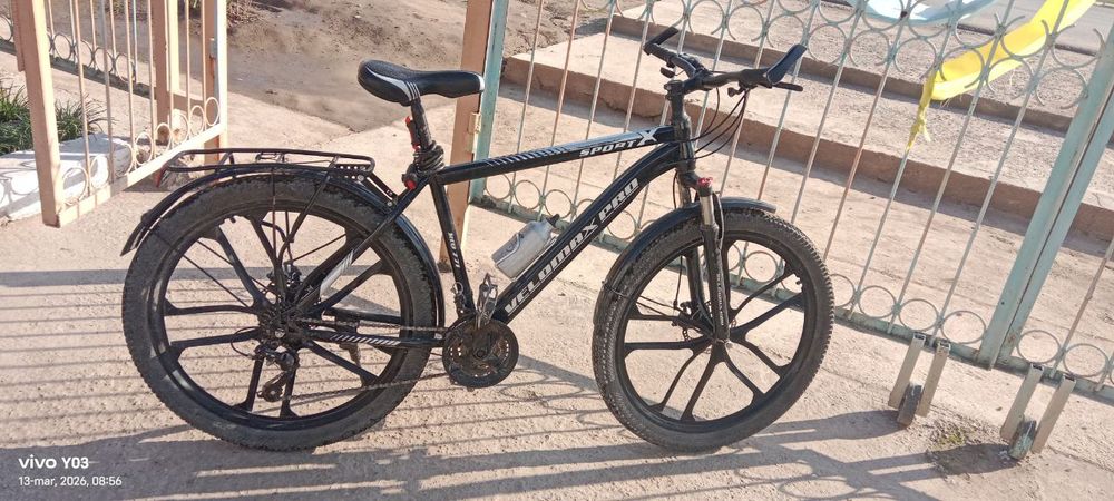 Qora rangi narhi kelishilgan