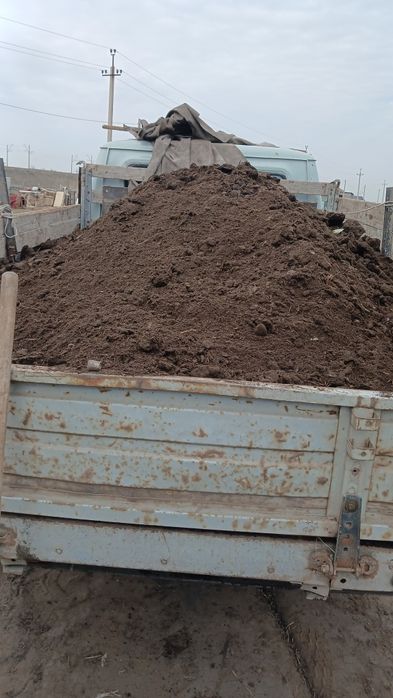 Перегной. Чернозем