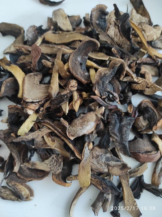 Грибы сушеные лесные