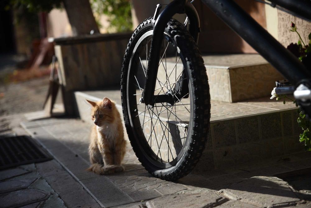 Bicicleta BMX de vânzare