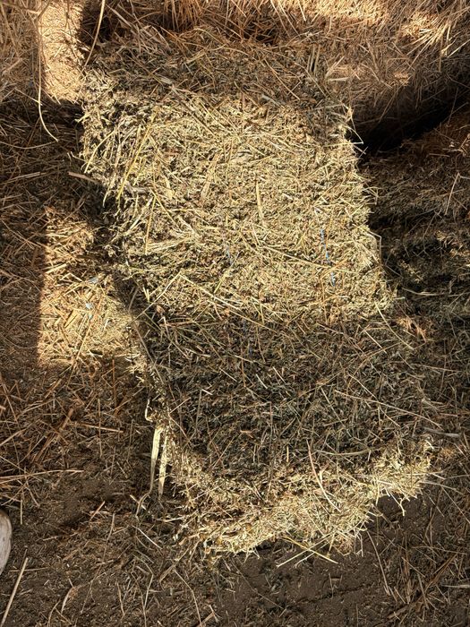 Baloti Lucerna , paie