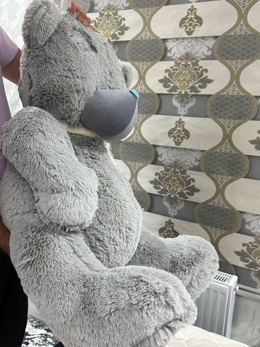 Teddy 60 sm. yangi