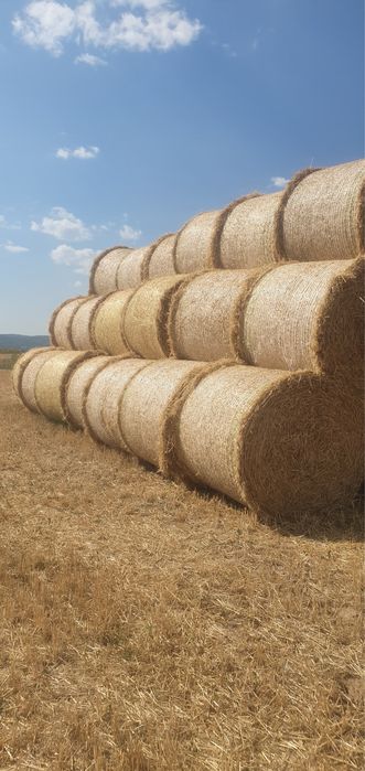 Baloti din paie de orzoaica
