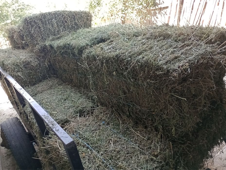 Vand baloti de lucerna/fan/ovaz