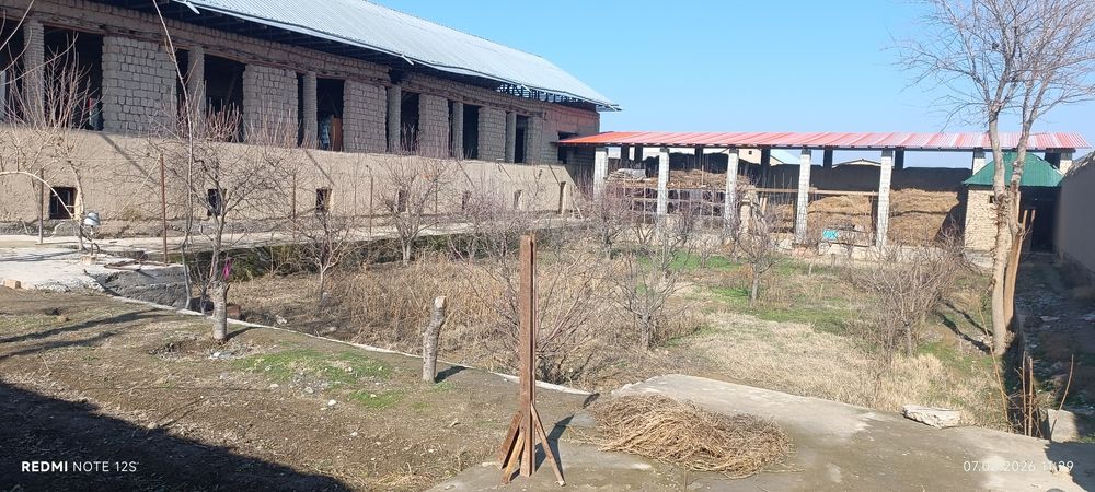 Жума Янгиобод МФИда 14 сотих Уй сотилади