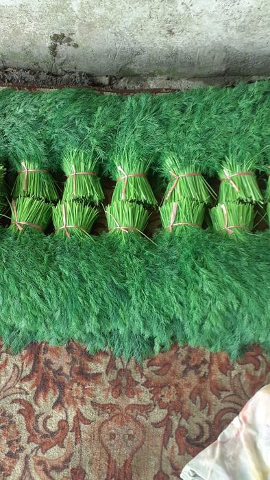 Семена укропа Дельта 1кг