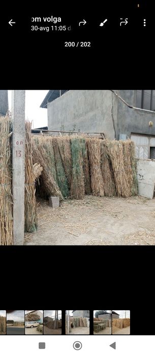 Xashak somon beda qamish