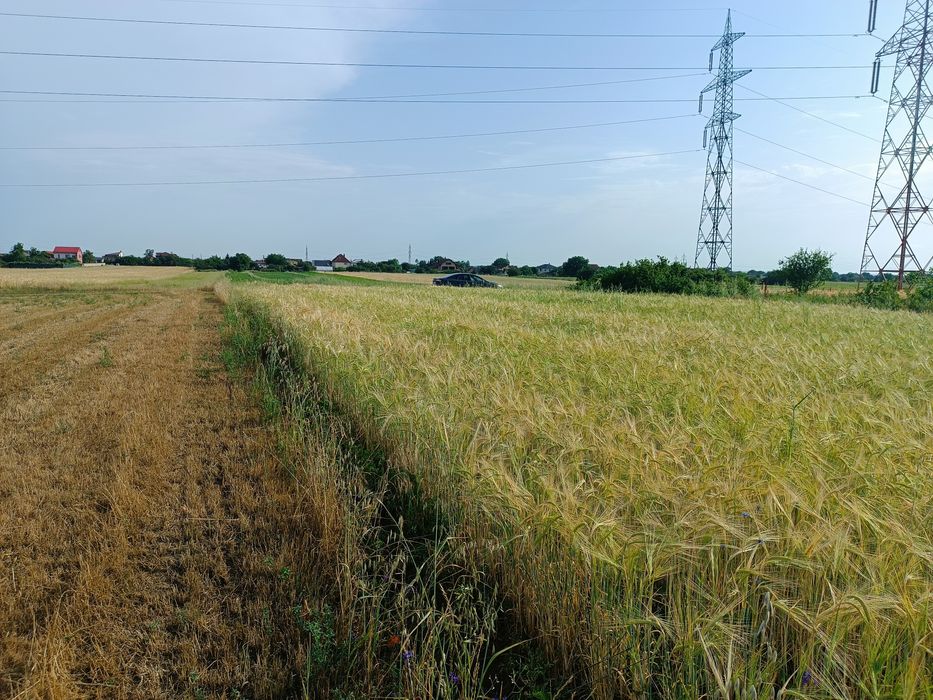 Teren extravilan - Simnicu de Sus, Albești