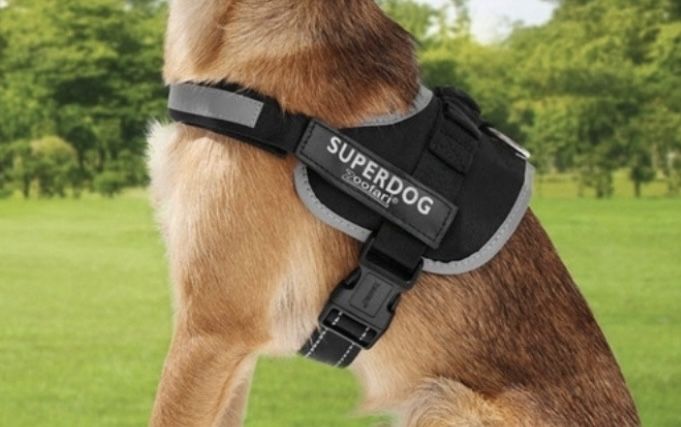 Ham câini SuperDog Security Zoofari