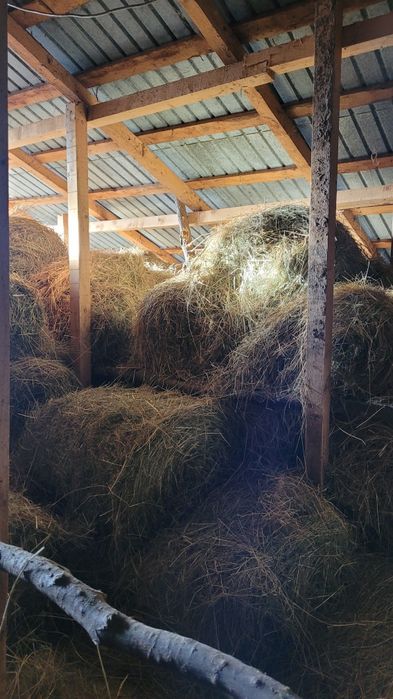 Vand baloti de fan si de ovaz