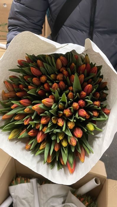 Тюльпаны оптом на 8марта