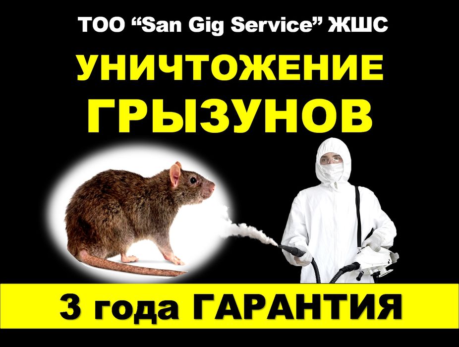 Дезинфекция муравьёв Семей