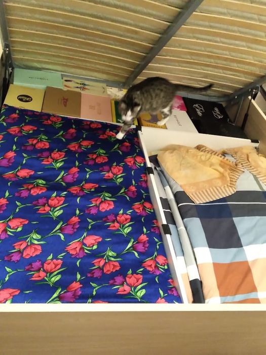 Кровать Шатура продам