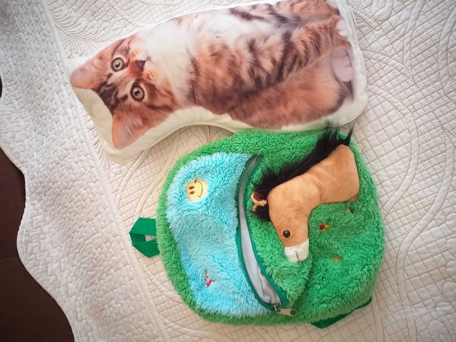 Малка раничка и възглавница коте