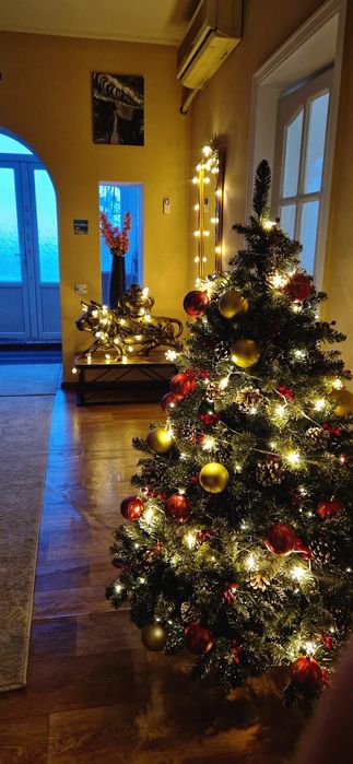 Своя дача в Ташкенте