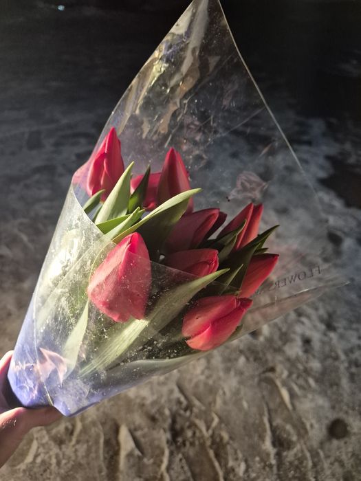 Тюльпаны оптом или в розницу