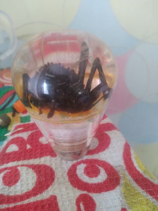 Монеты подстоканники