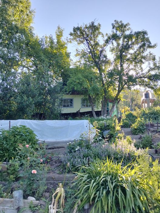 Продам дачу с/о "Казахстан"