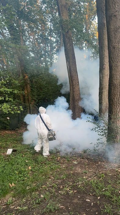 Dezinsecție și deratizare rapida - Plosnite, gândaci, soareci