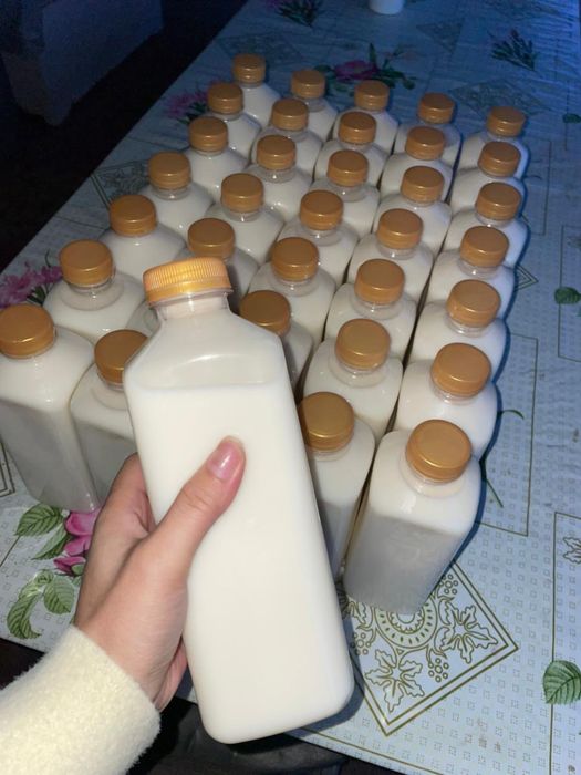 Қымыз, кымыз, кумыс