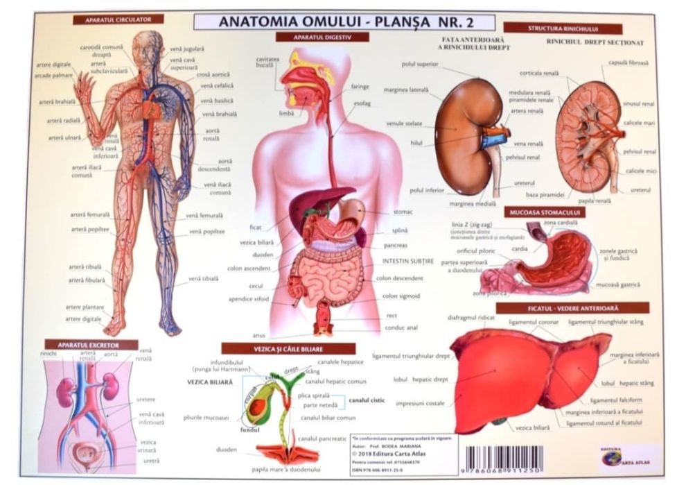 Meditații pentru examenul de bacalaureat biologie și admitere!!!