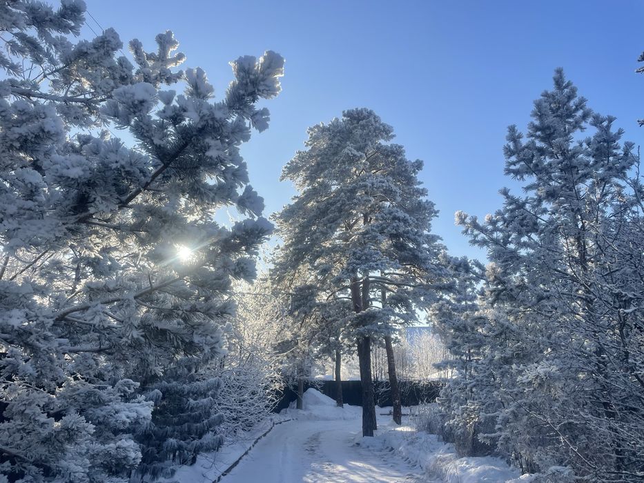 Сдам домик в аренду