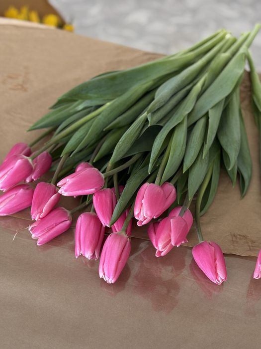 Тюльпаны на 8 марта