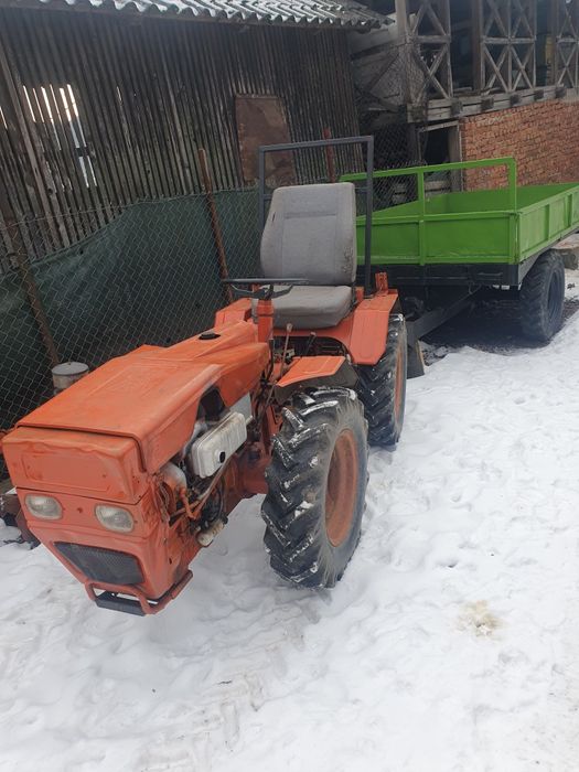 De vânzare pasquali adus Italia