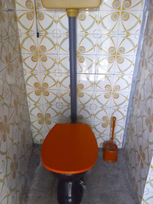 Селски имот - къща и дворно място