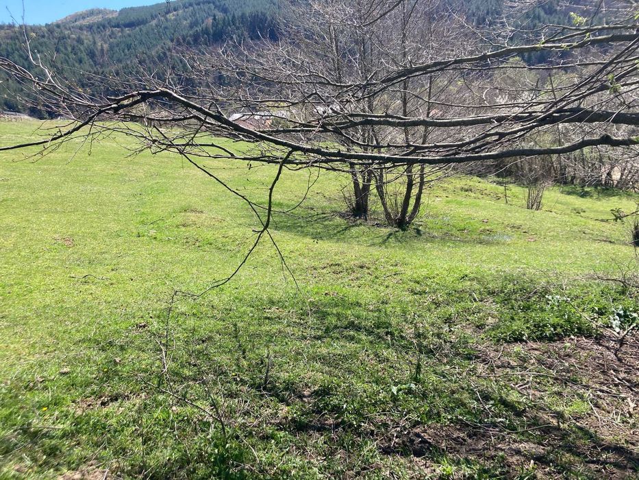 Продава се Парцел в София, Център - 4730 кв.м за 8 €/кв.м - Снимка #8