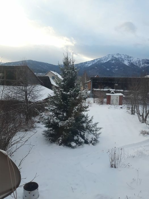 Сдам дом посуточно