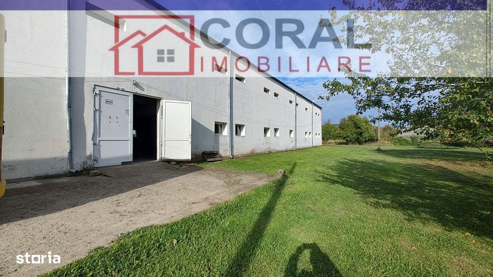 Hala de productie, zona industriala Mintia